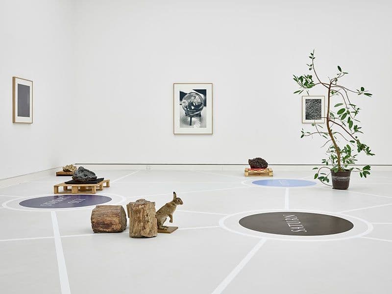 An einer weißen Wand hängen drei Bilder. Auf dem Boden sind Linien und Kreise aufgeklebt. Auf dem Boden steht verschiedene Objekte. z.B. eine Pflanze in einem Blumentopf.